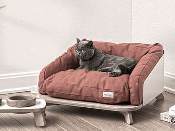狗狗的沙发床设计图片