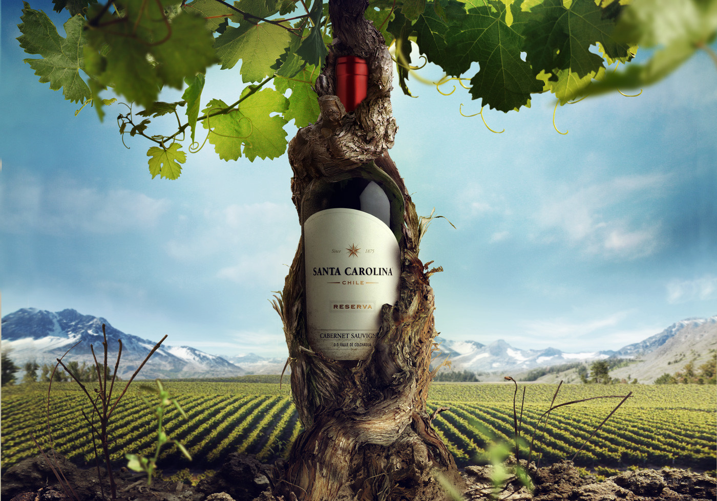 国外创意葡萄酒广告海报设计作品欣赏-01