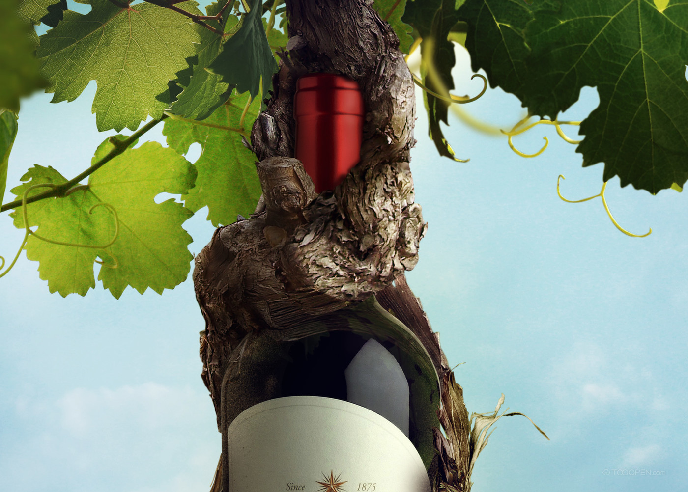 国外创意葡萄酒广告海报设计作品欣赏-02