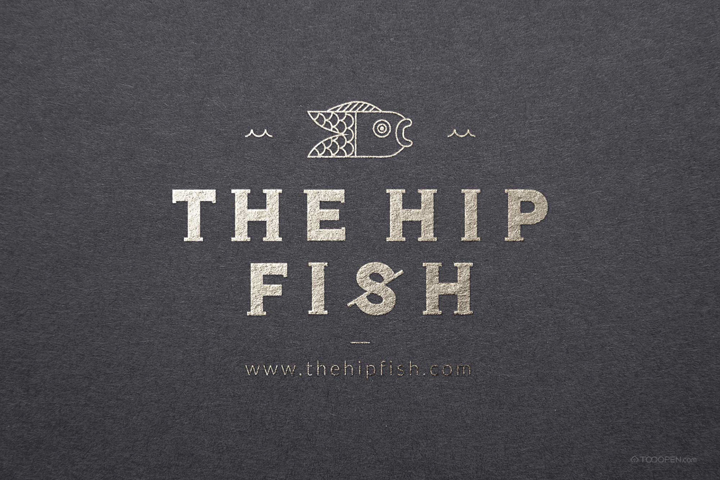 THE HIP FISH品牌VI设计欣赏-15
