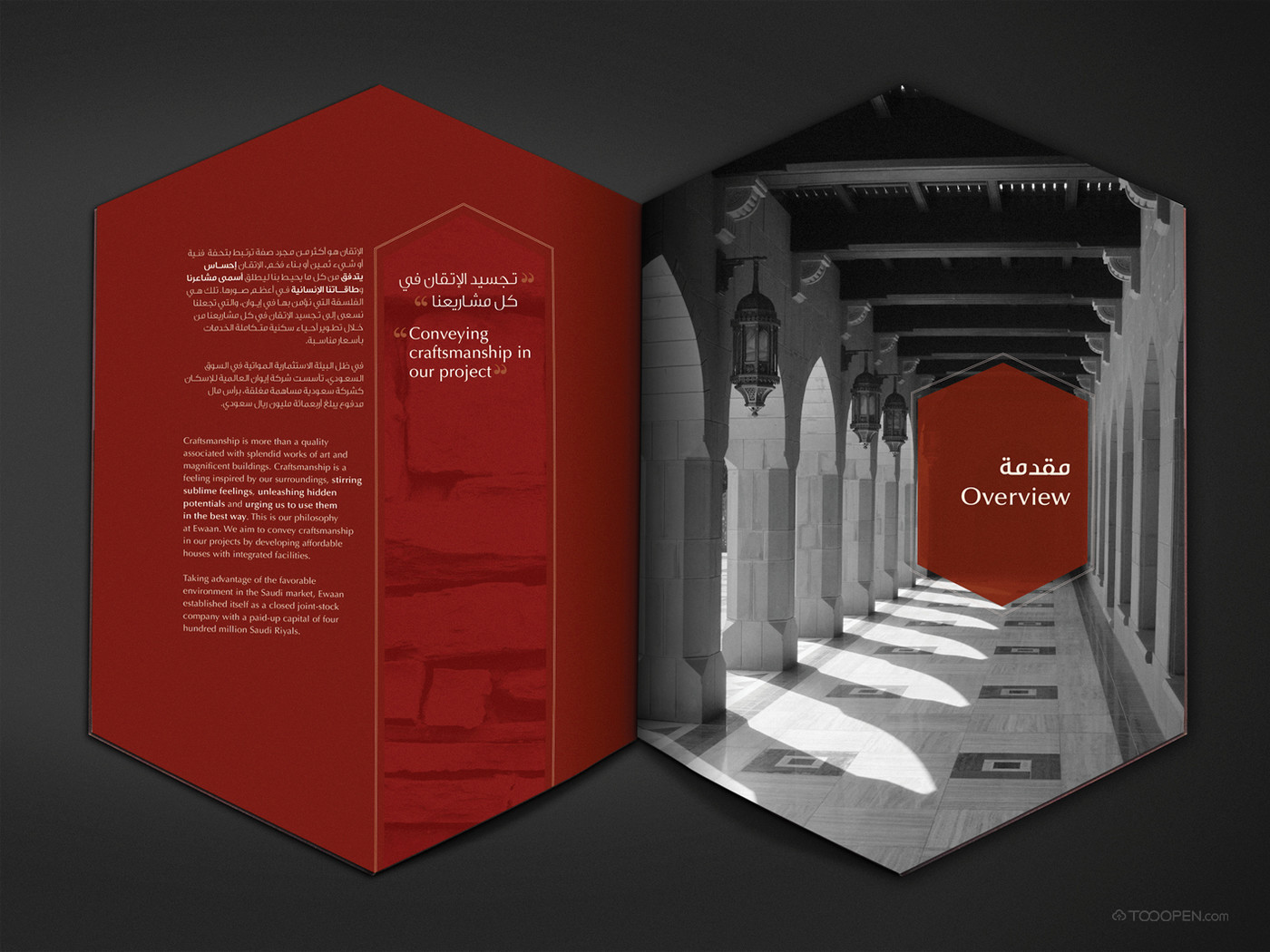 沙特阿拉伯ewaan六角企业宣传画册设计欣赏-04