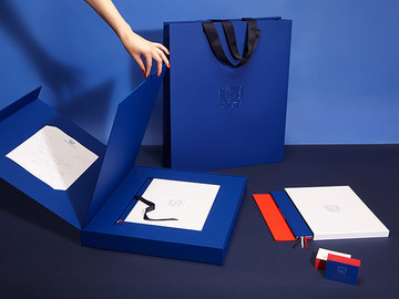 尊贵克莱因蓝调法国企业品牌设计欣赏