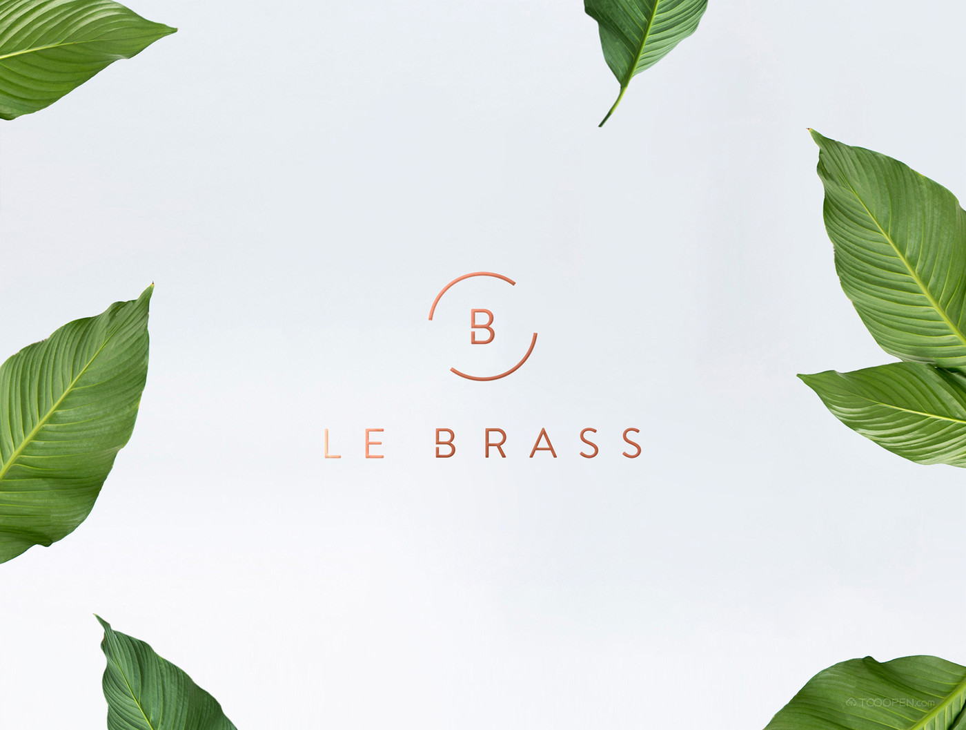 Le Brass 时尚家居品牌VI设计欣赏-01