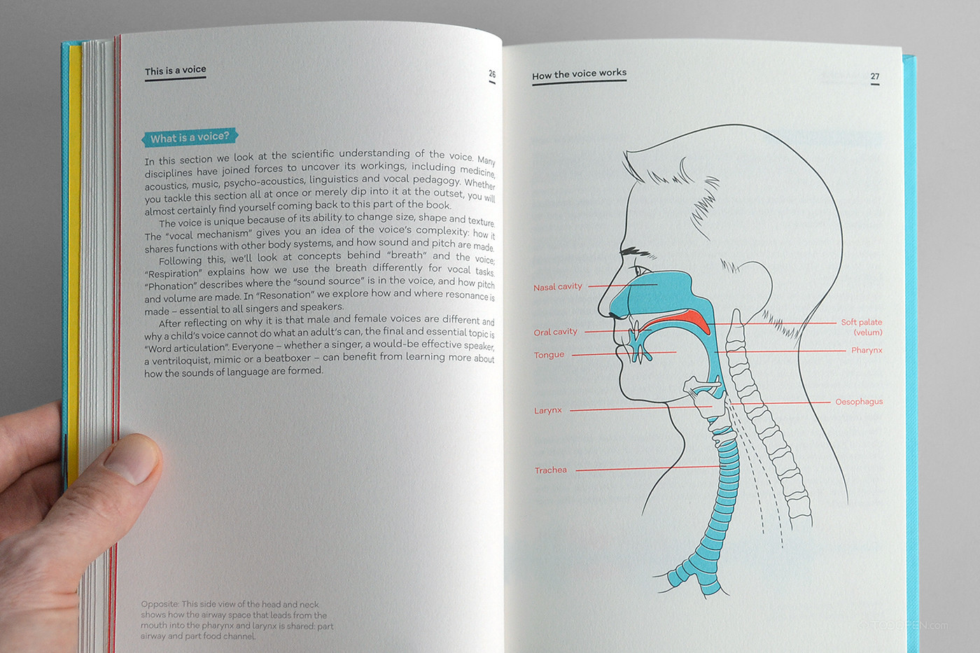 《这是一个声音》医学书籍设计欣赏-05