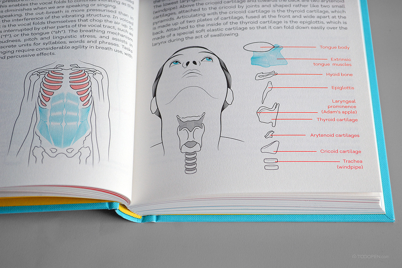 《这是一个声音》医学书籍设计欣赏-06