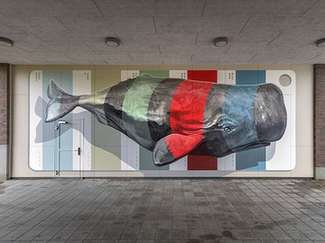 3D立体鲸鱼街头墙绘艺术图片