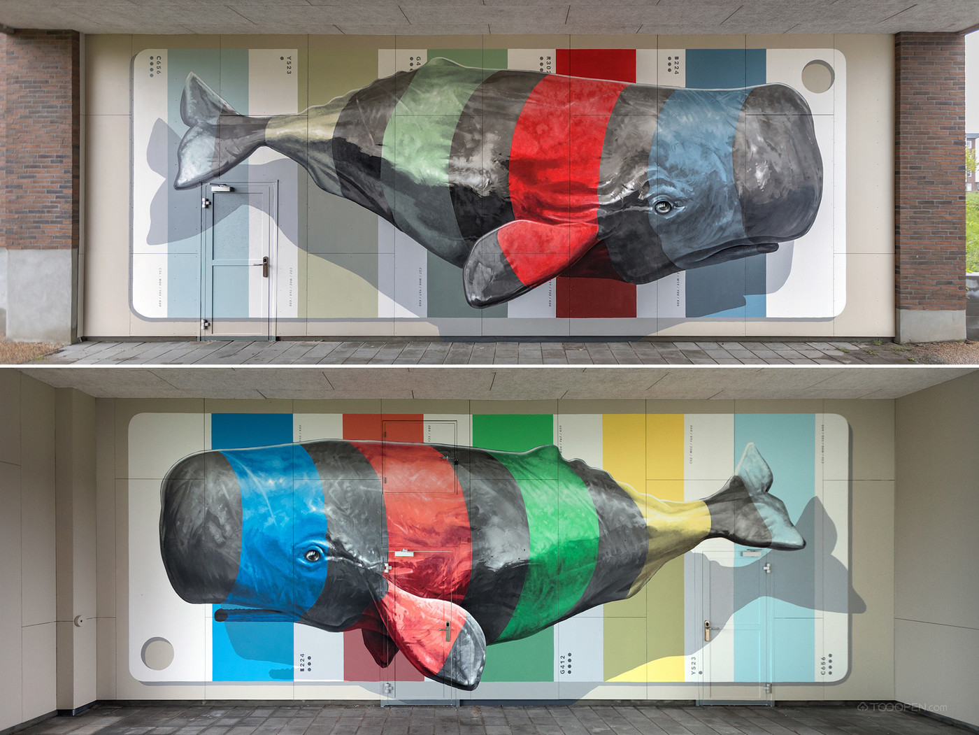 3D立体鲸鱼街头墙绘艺术图片-01