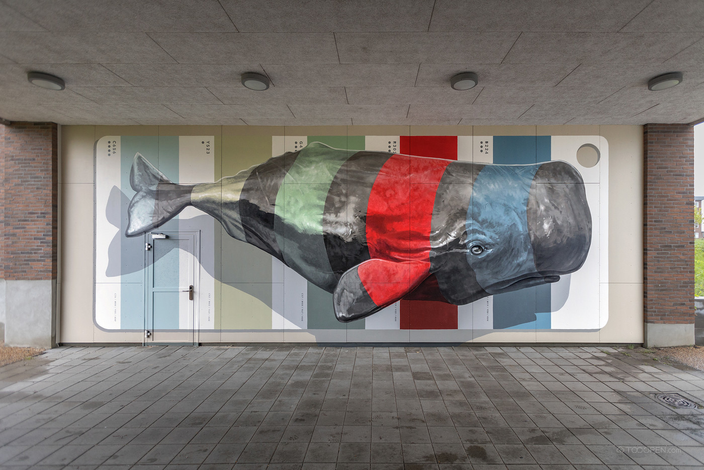 3D立体鲸鱼街头墙绘艺术图片-03