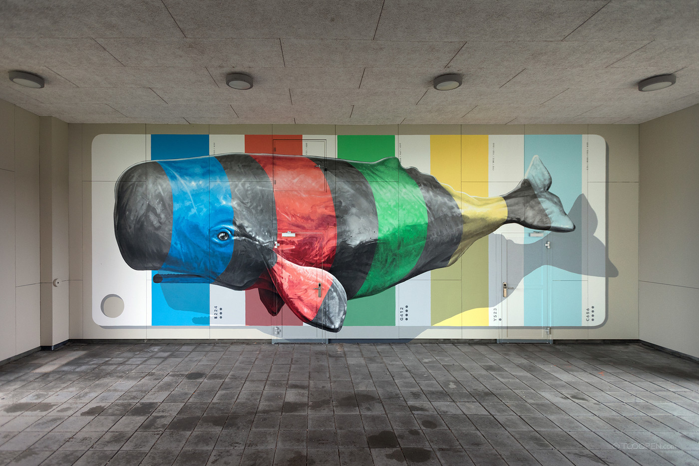 3D立体鲸鱼街头墙绘艺术图片-04