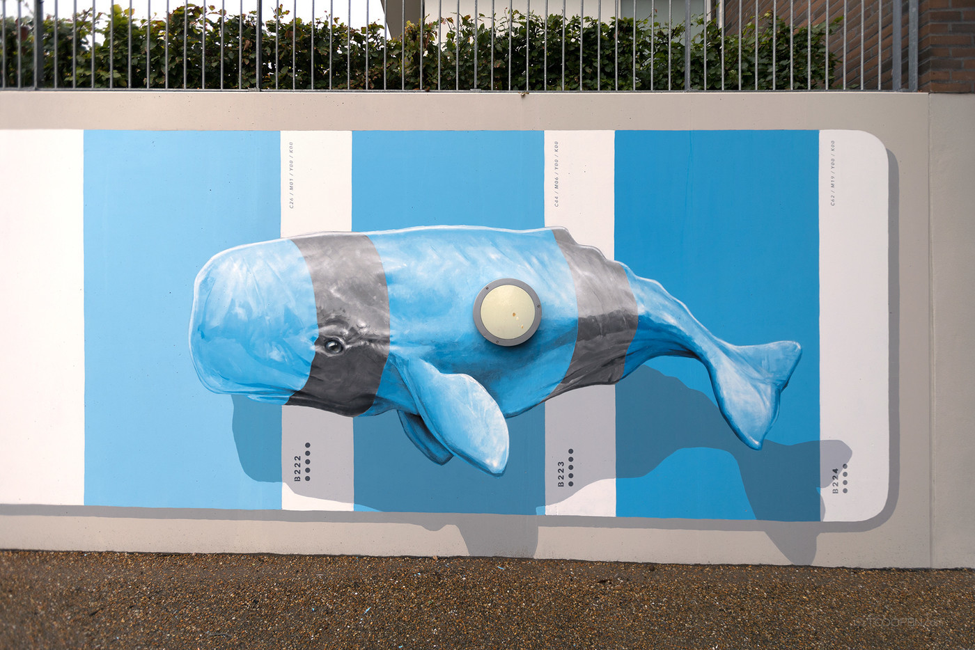 3D立体鲸鱼街头墙绘艺术图片-05