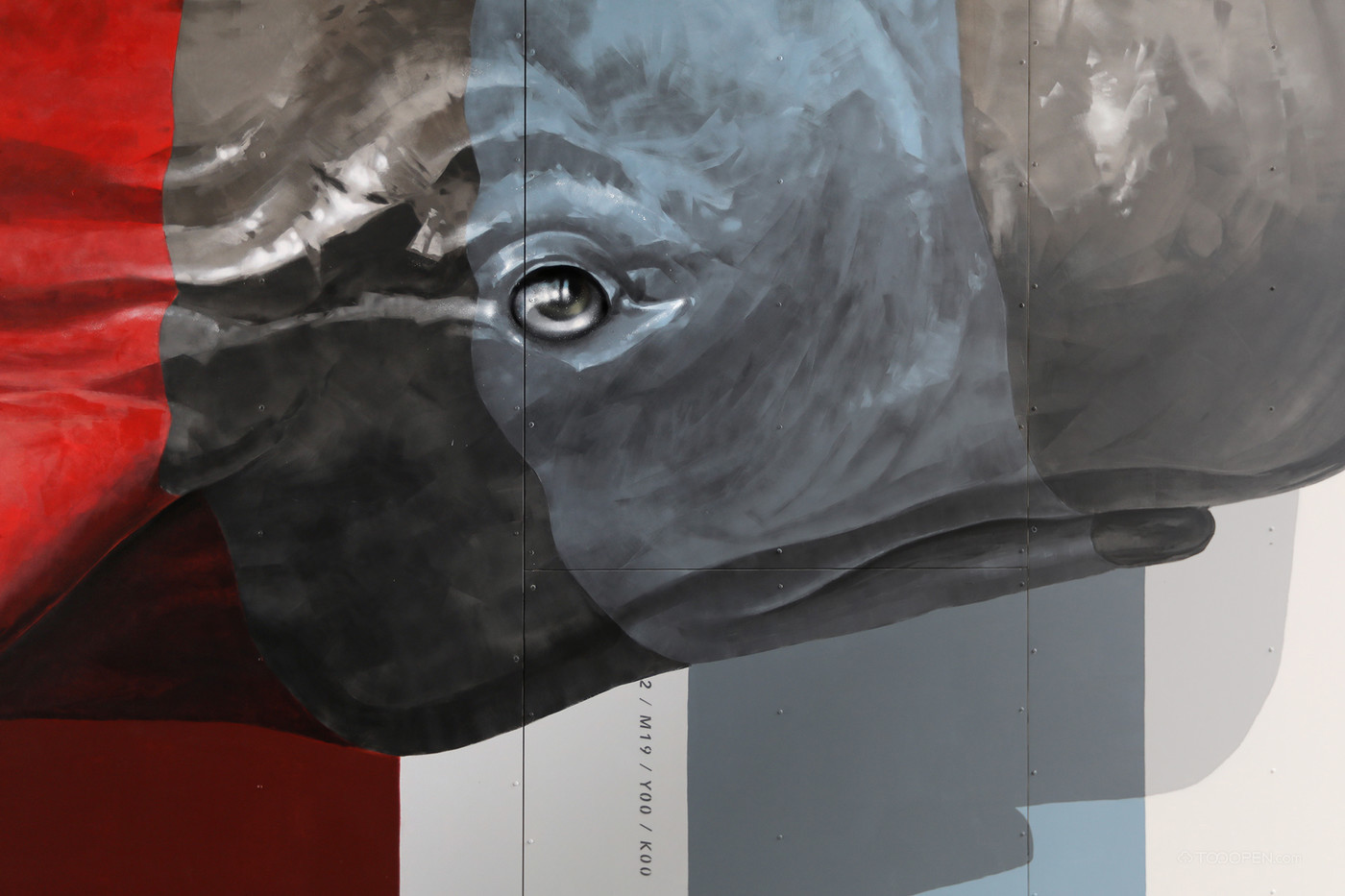 3D立体鲸鱼街头墙绘艺术图片-08