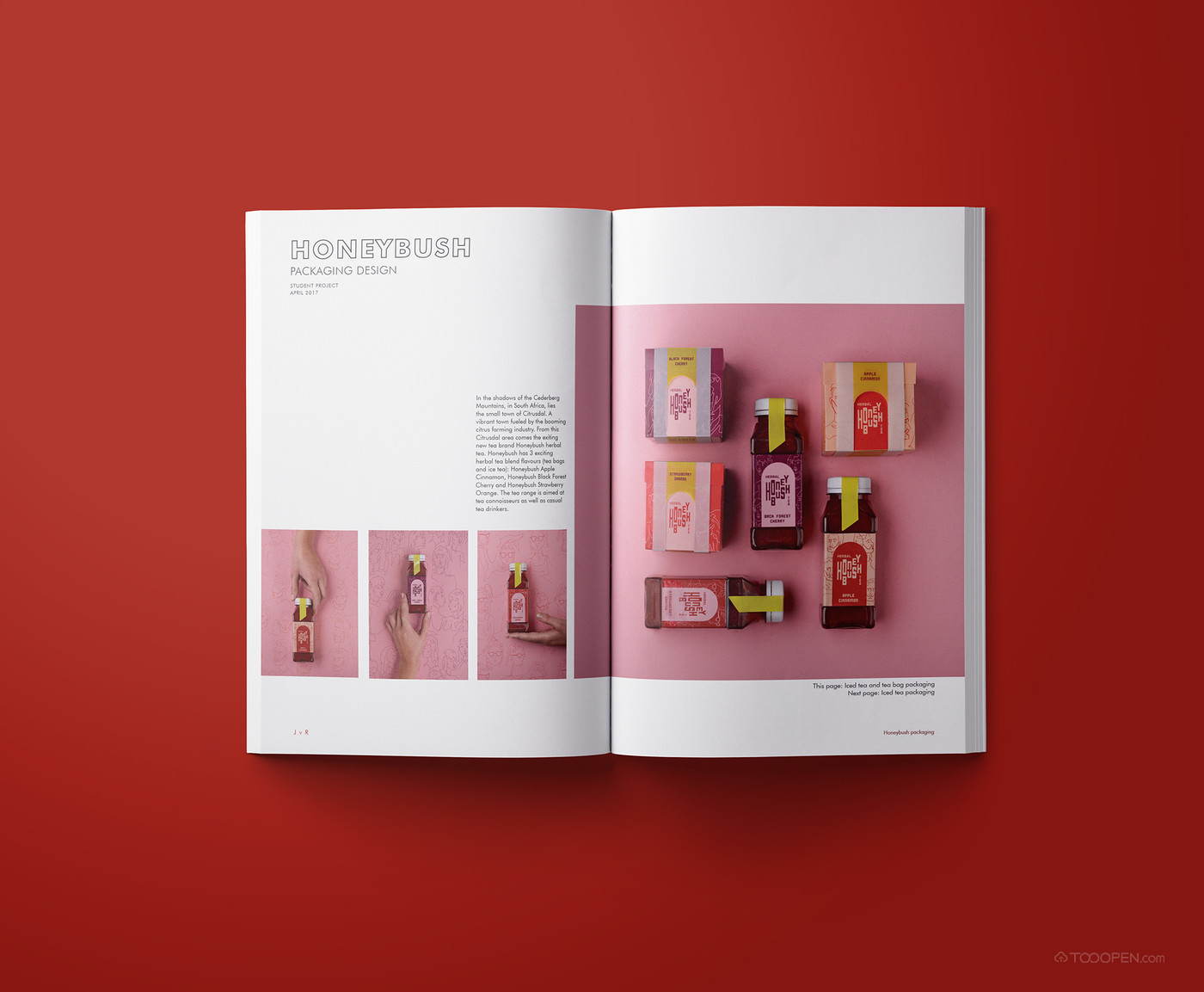 国外潮流艺术杂志画册设计作品欣赏-05