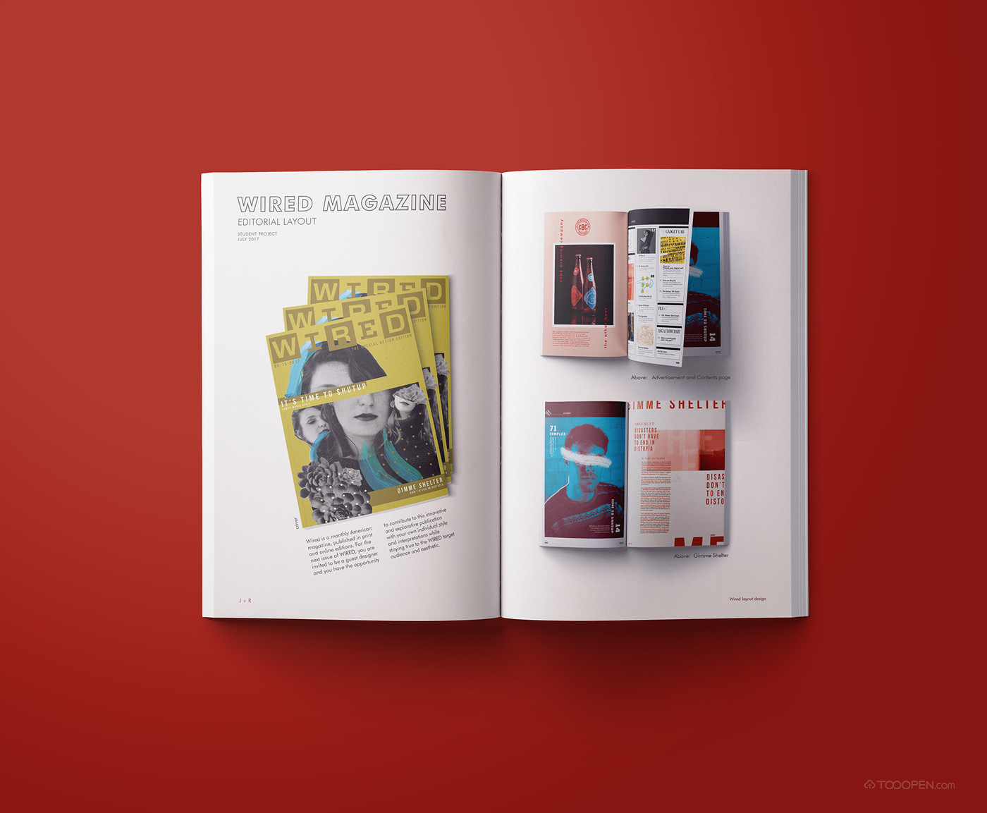 国外潮流艺术杂志画册设计作品欣赏-06