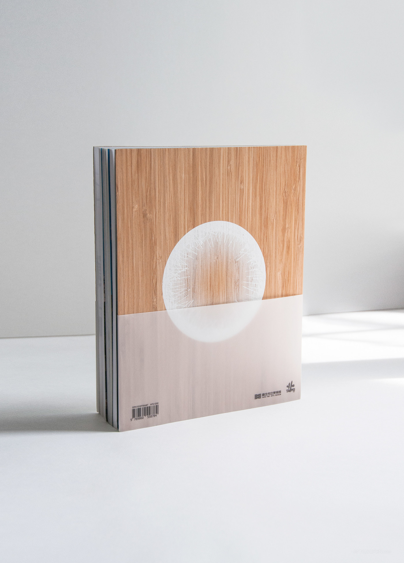《庇护》木质封面书籍装帧设计欣赏-02