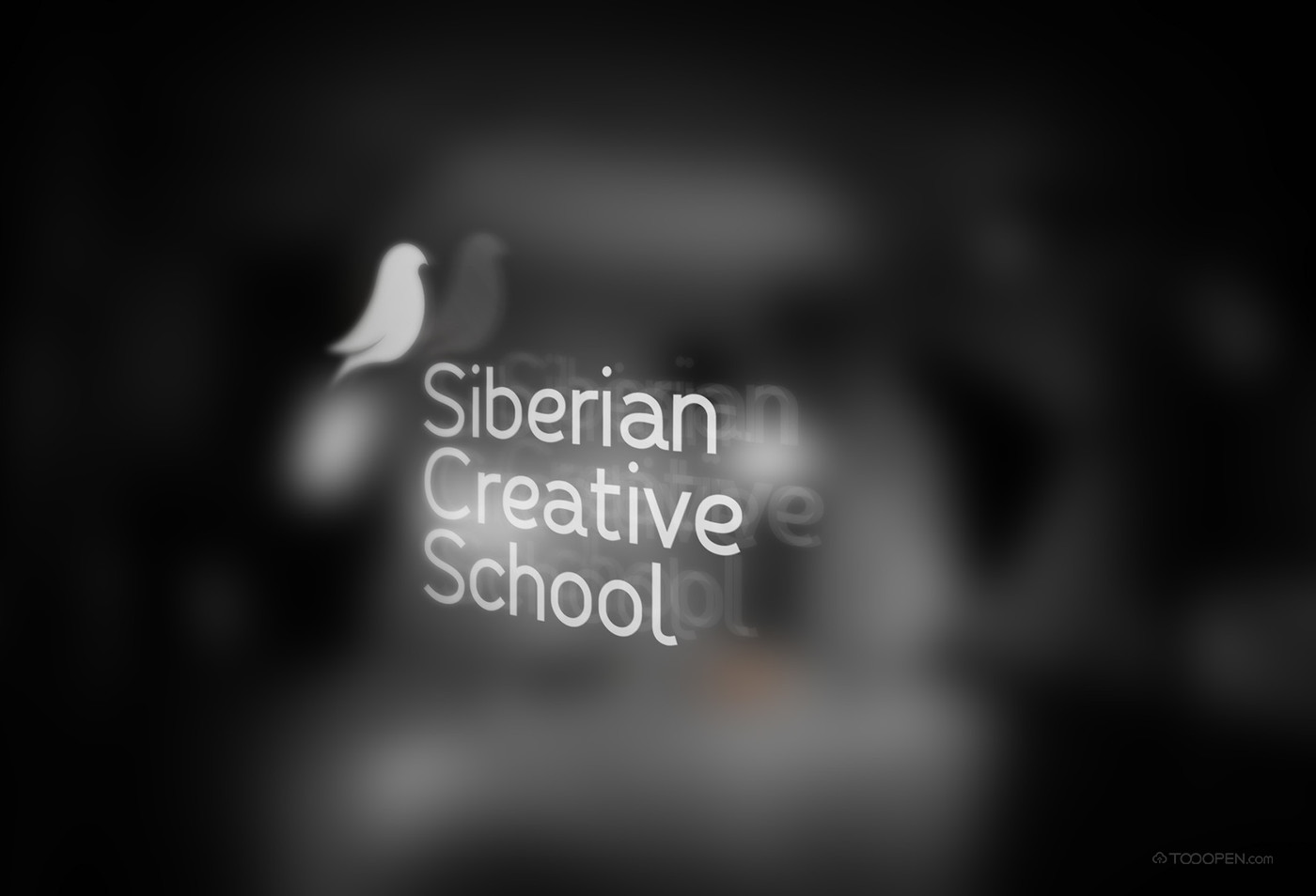 siberian 创意学校品牌VI设计欣赏-06