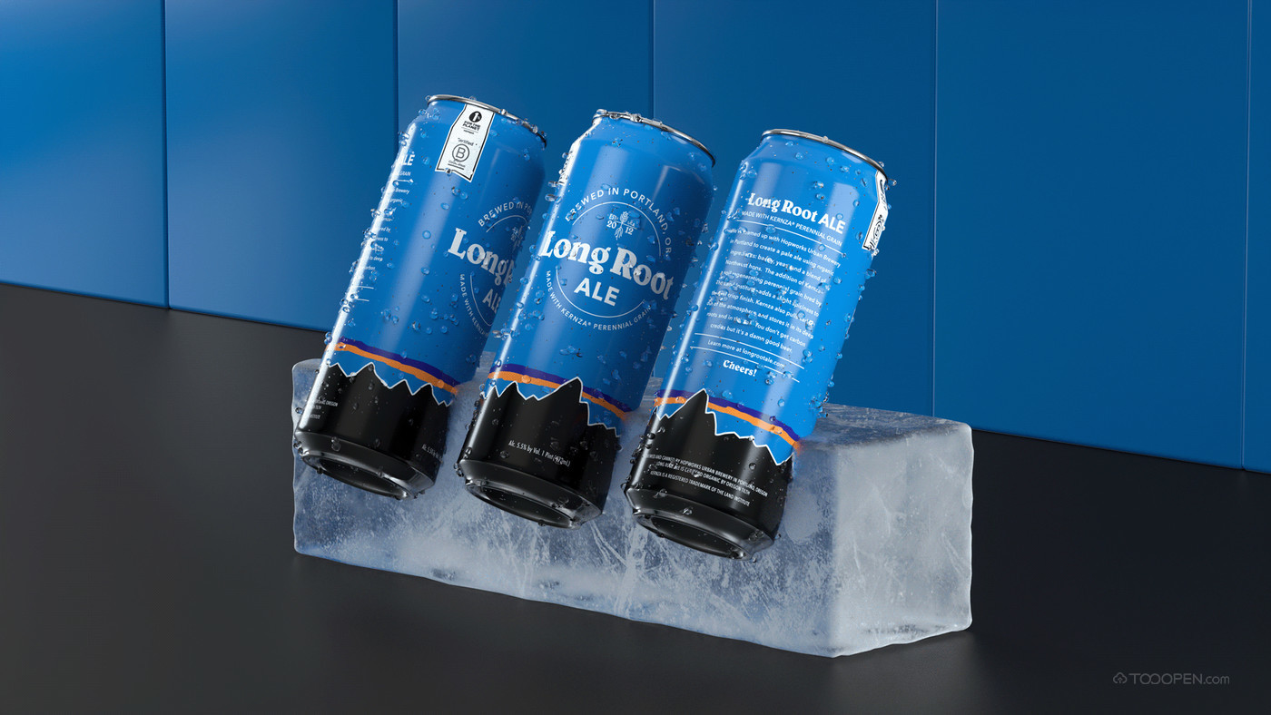 蓝色雪山元素啤酒包装设计欣赏-06