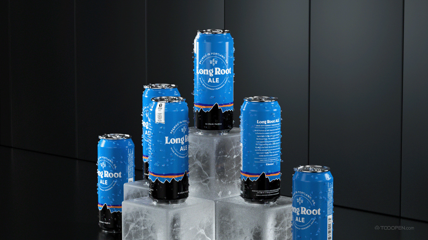 蓝色雪山元素啤酒包装设计欣赏-07