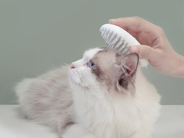 猫咪毛发清理刷宠物用品设计高清图片