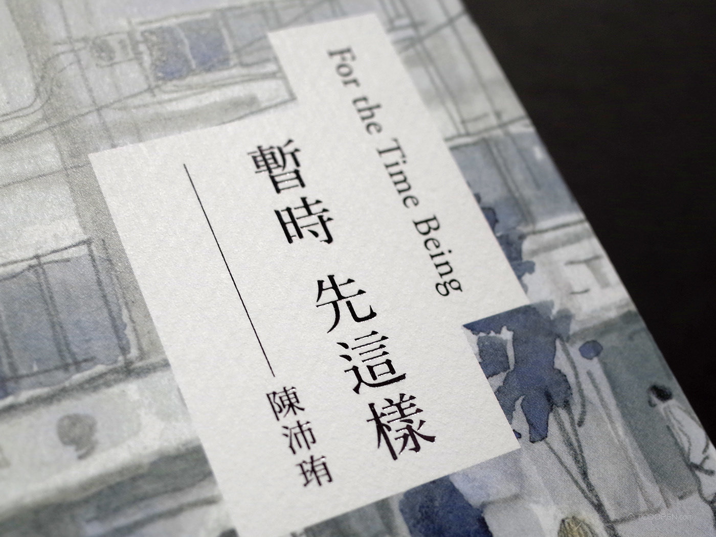 《暂时 先这样》中文书籍装帧设计欣赏-04