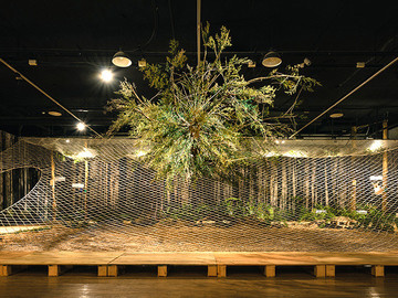 森林生态文化展览展示设计作品