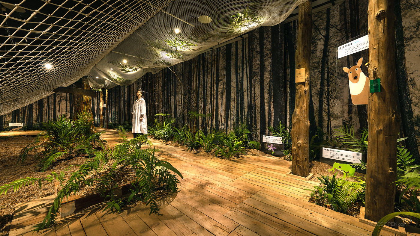 森林生态文化展览展示设计作品-03