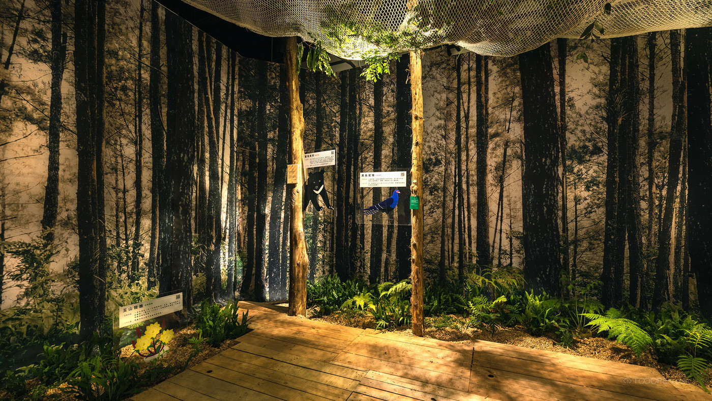 森林生态文化展览展示设计作品-04