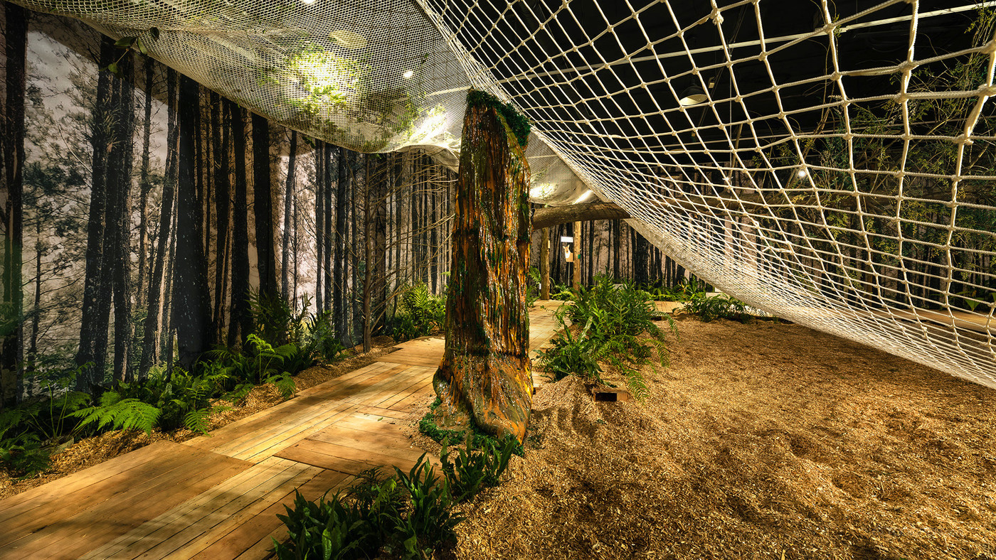 森林生态文化展览展示设计作品-05