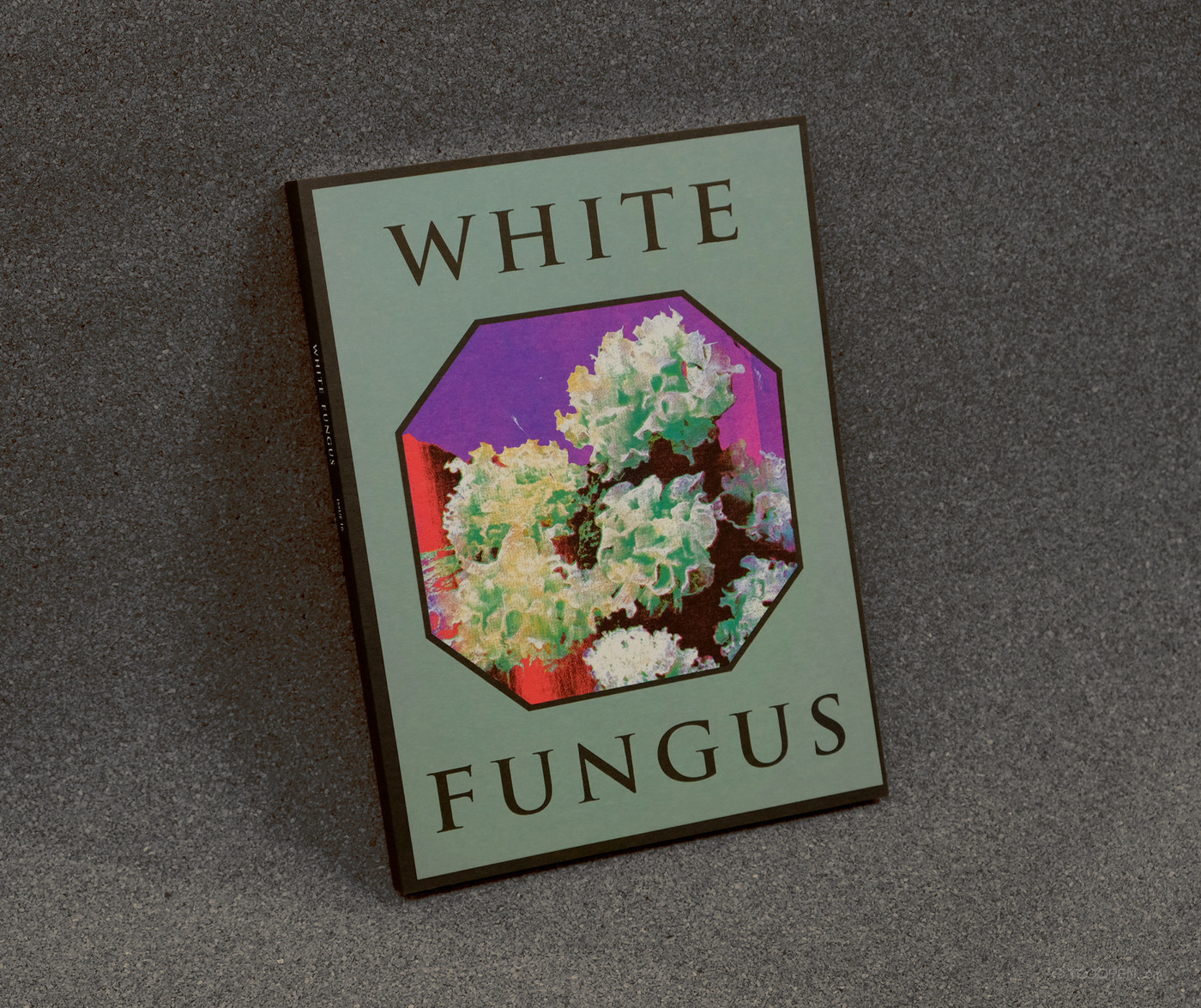 《WHITE FUNGUS》白色真菌生物学书籍装帧设计欣赏-01