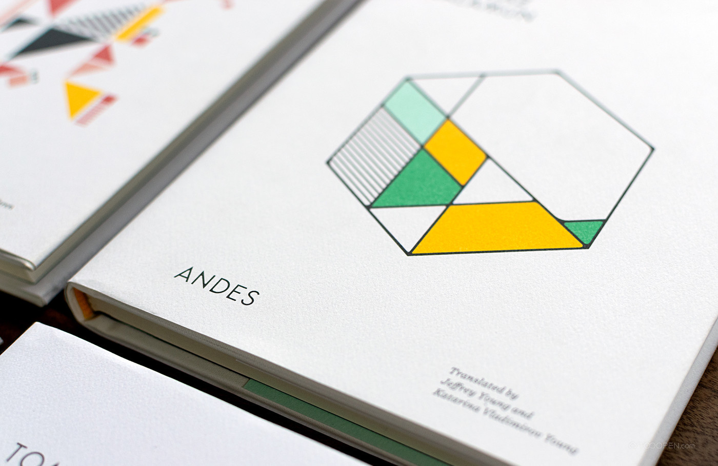 国外彩色几何封面书籍装帧平面设计欣赏-05