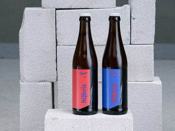 匈牙利国外创意手工啤酒饮品包装概念设计作品欣赏
