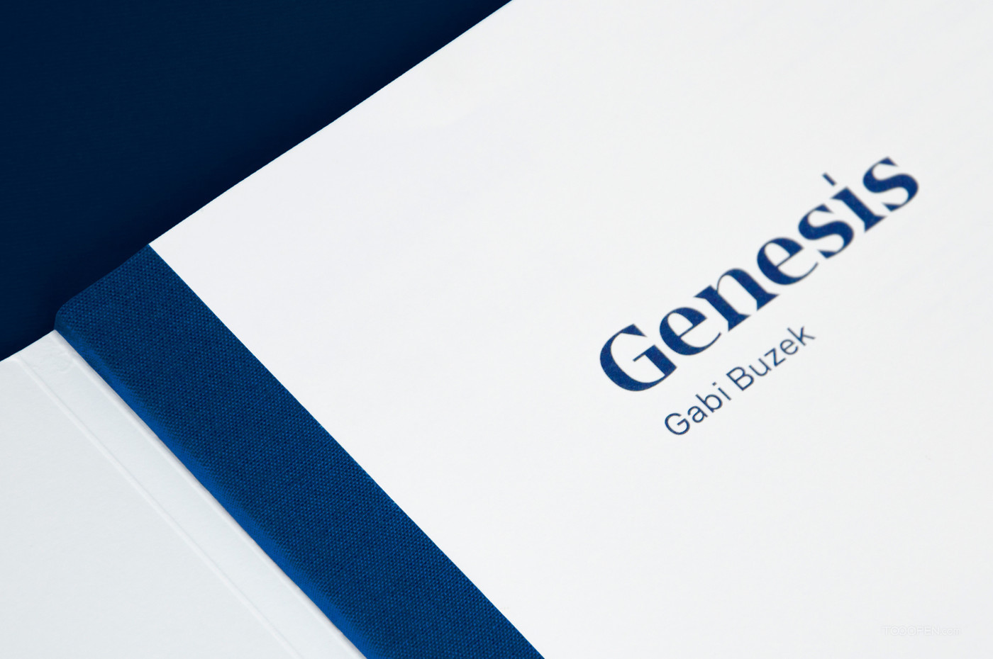 Genesis流沙封面艺术画册设计作品欣赏-02