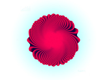 一组PNG格式透明背景花卉素材图片