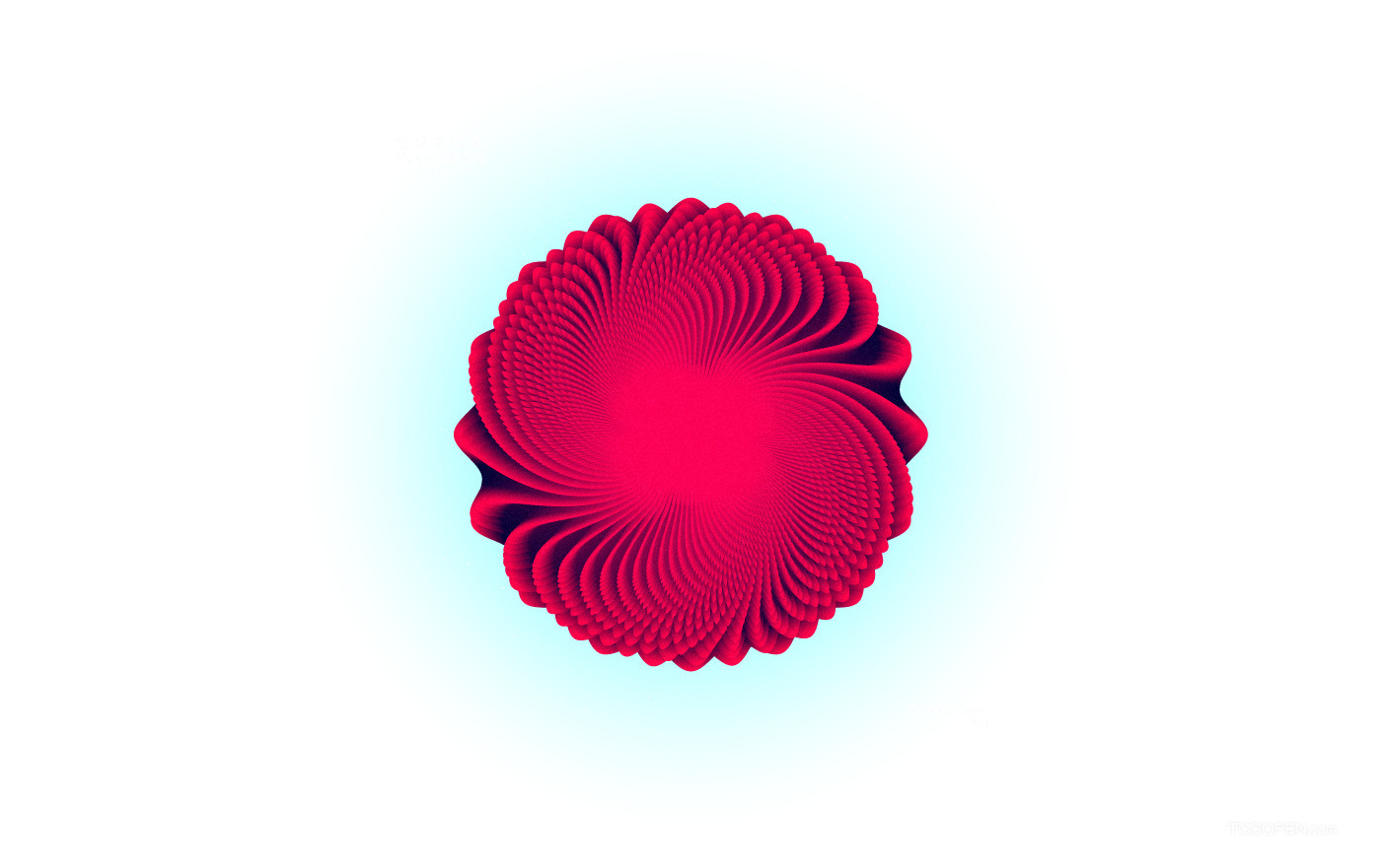 一组PNG格式透明背景花卉素材图片-02