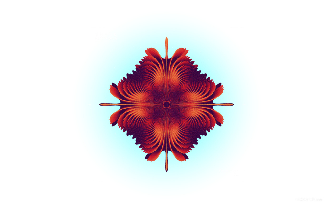 一组PNG格式透明背景花卉素材图片-04