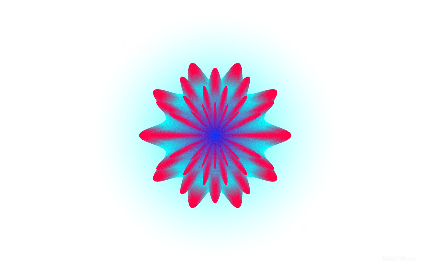 一组PNG格式透明背景花卉素材图片-05