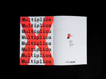 Multiplica多重性艺术画册设计作品欣赏