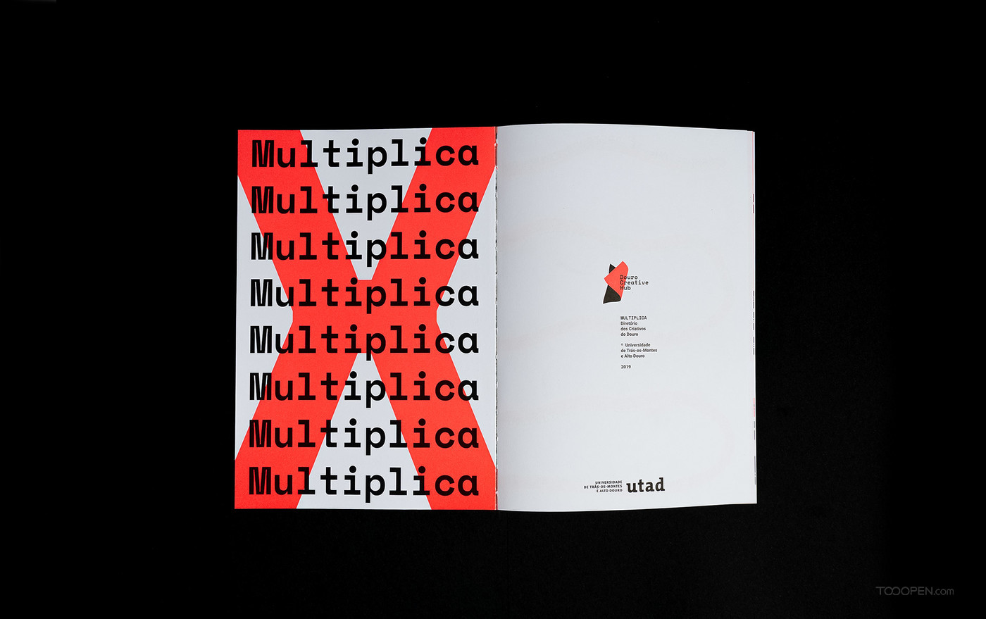 Multiplica多重性艺术画册设计作品欣赏-04