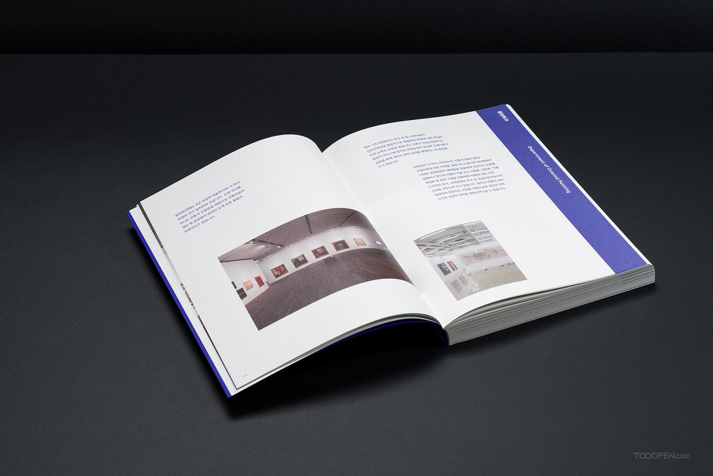 韩国国际美术大学画册设计作品欣赏-09