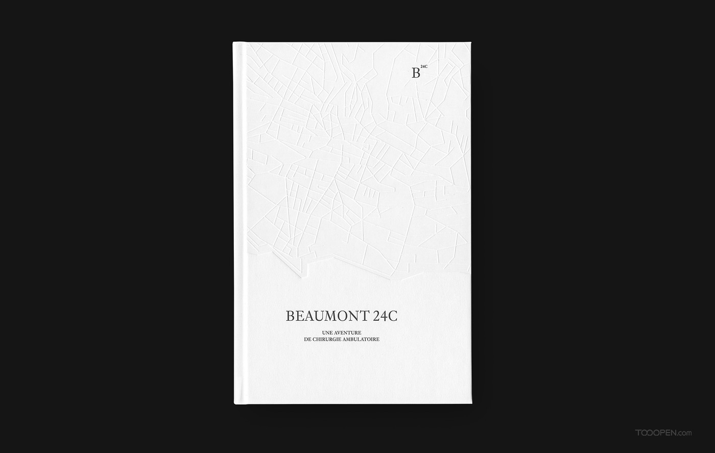 Beaumont 24C书籍设计作品欣赏-02