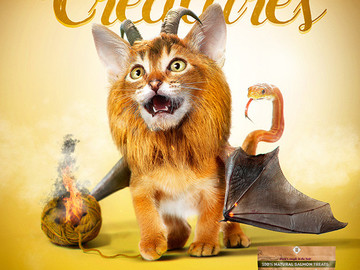 国外神奇的生物宠物食品创意海报设计欣赏