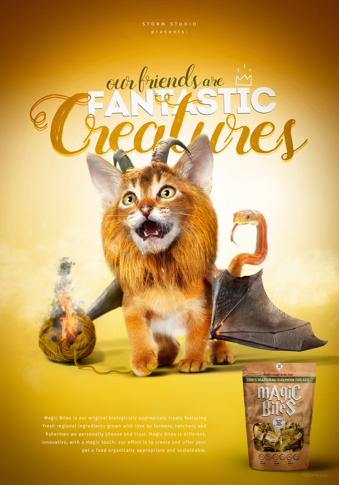 国外神奇的生物宠物食品创意海报设计欣赏-03