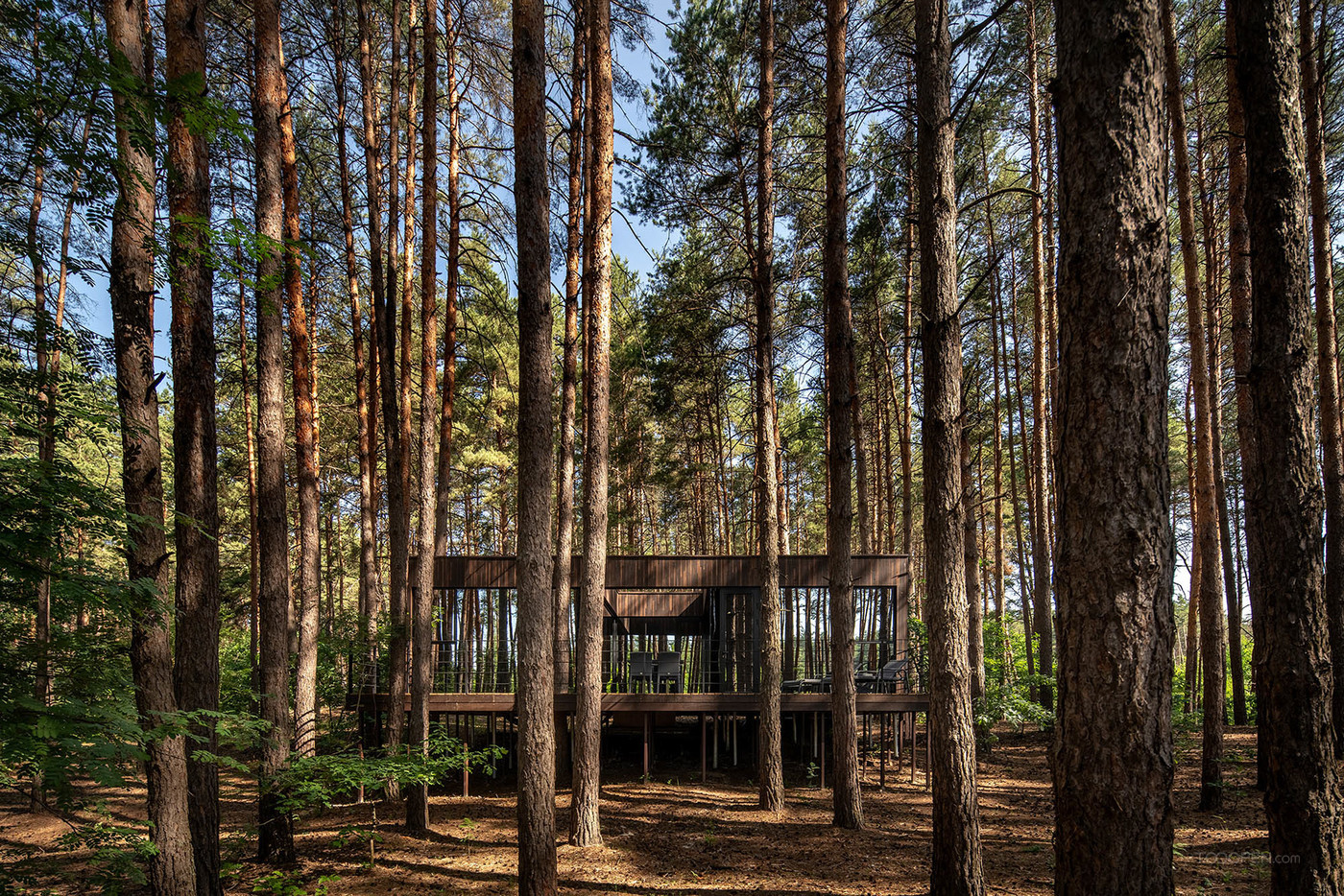 简约风格木结构住宅建筑设计作品图片-01