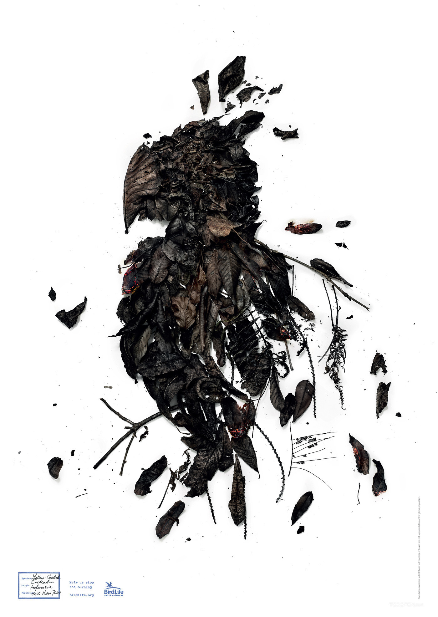 枯叶肌理拼凑鸟类保护公益创意广告海报设计欣赏-01