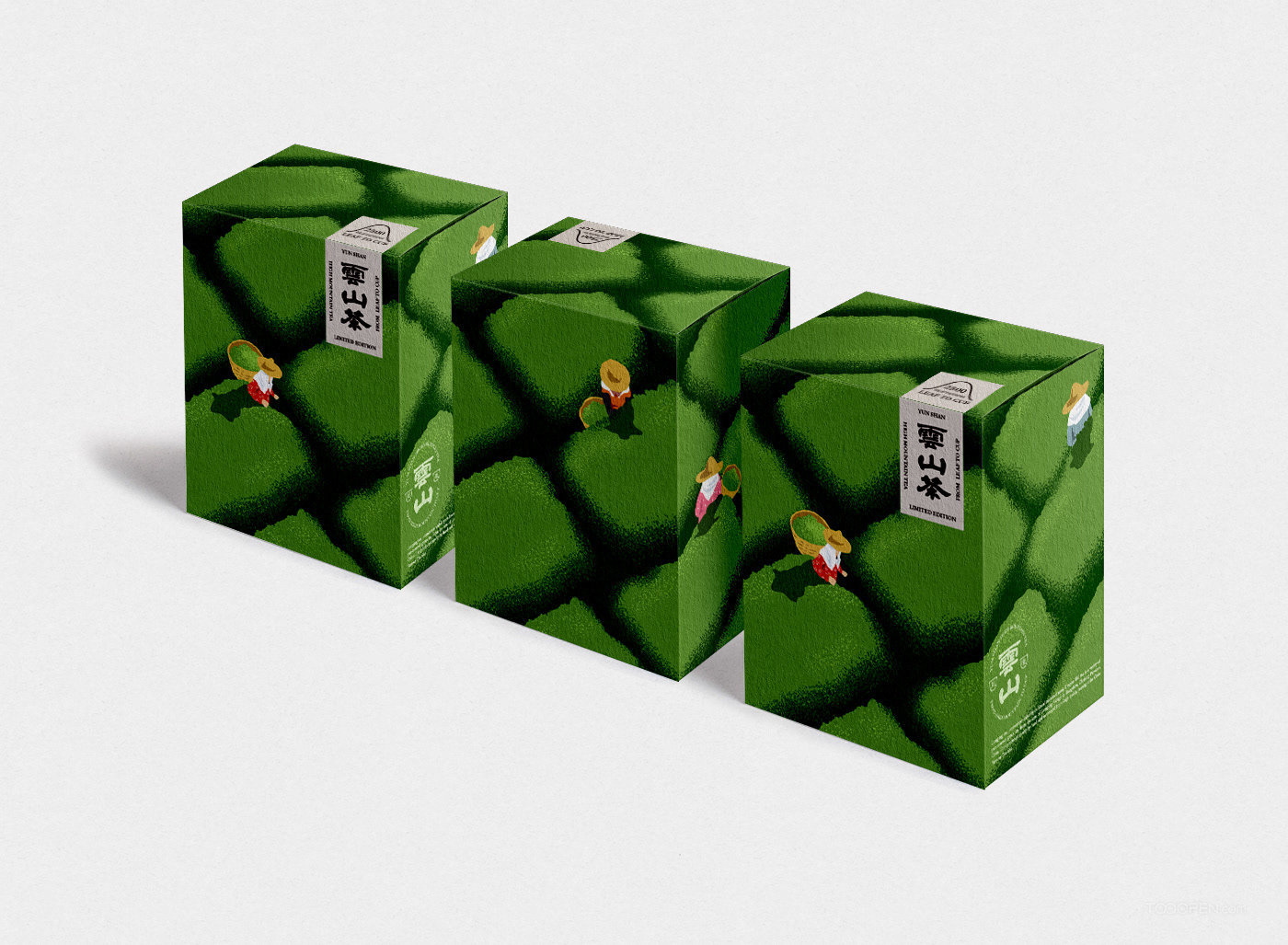 国产小种云山茶叶产品包装图片-02