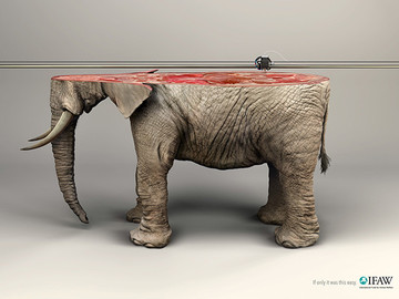 国际爱护动物基金会公益平面广告海报作品欣赏