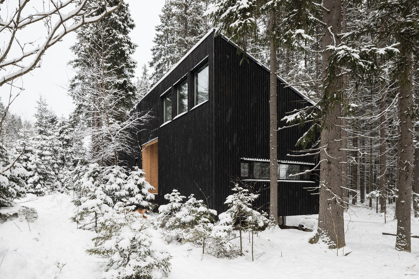 森林里的黑色木屋建筑设计作品-03