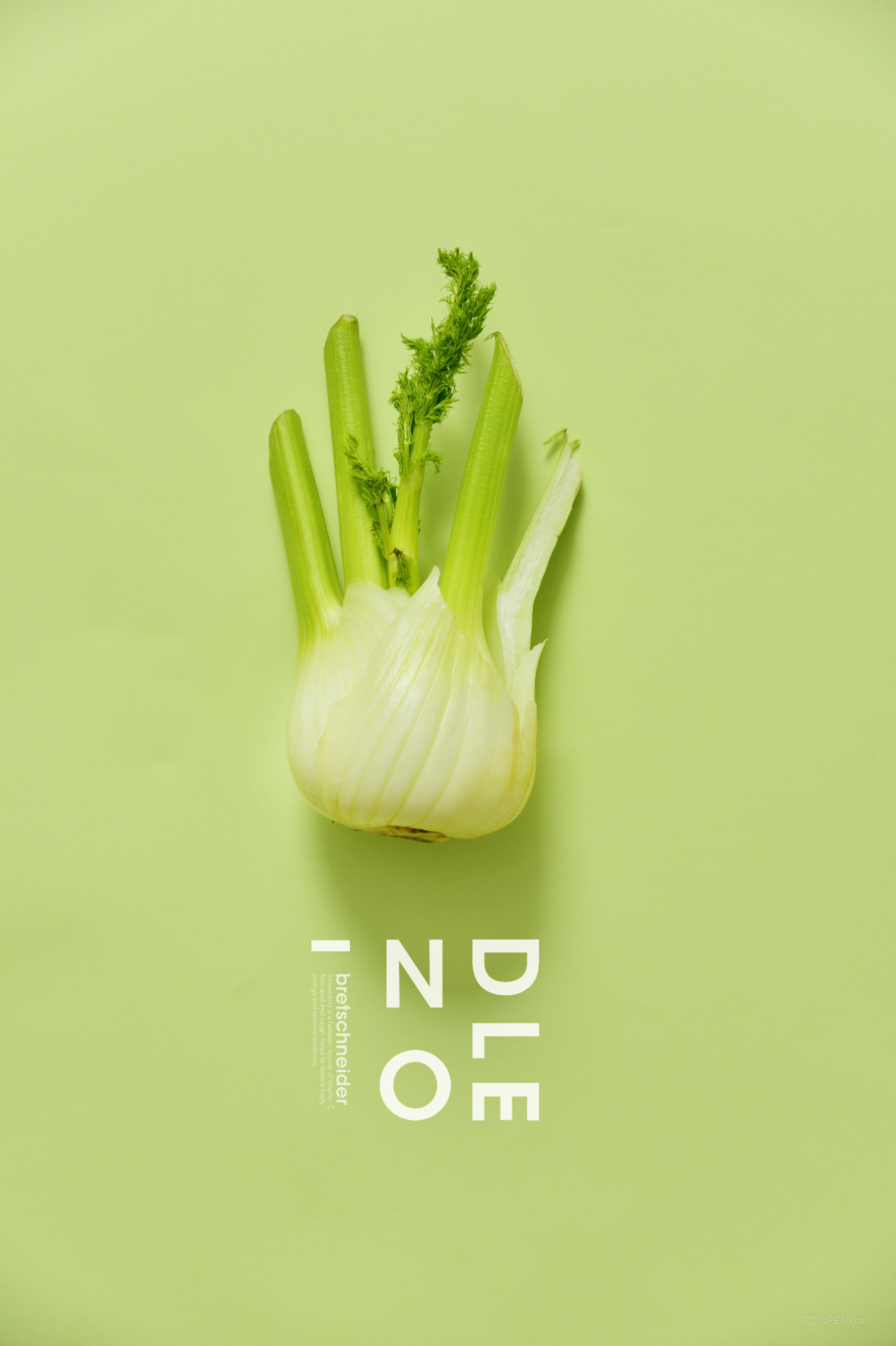 绿色有机蔬菜广告摄影图片欣赏-01