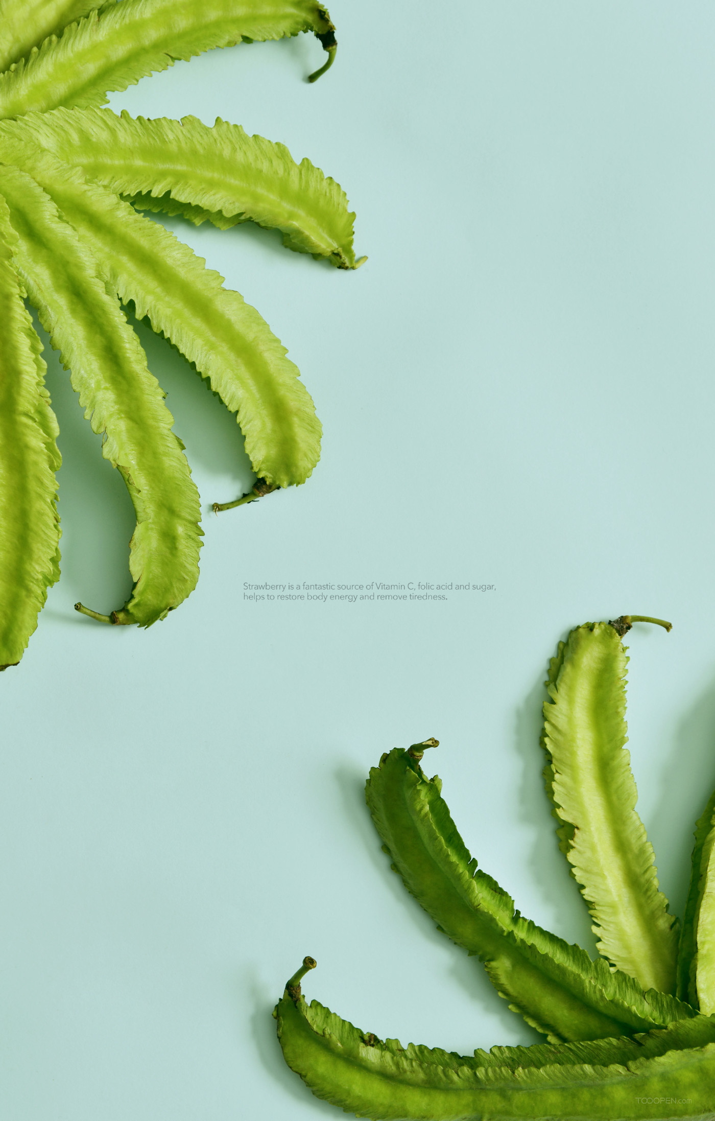 绿色有机蔬菜广告摄影图片欣赏-06