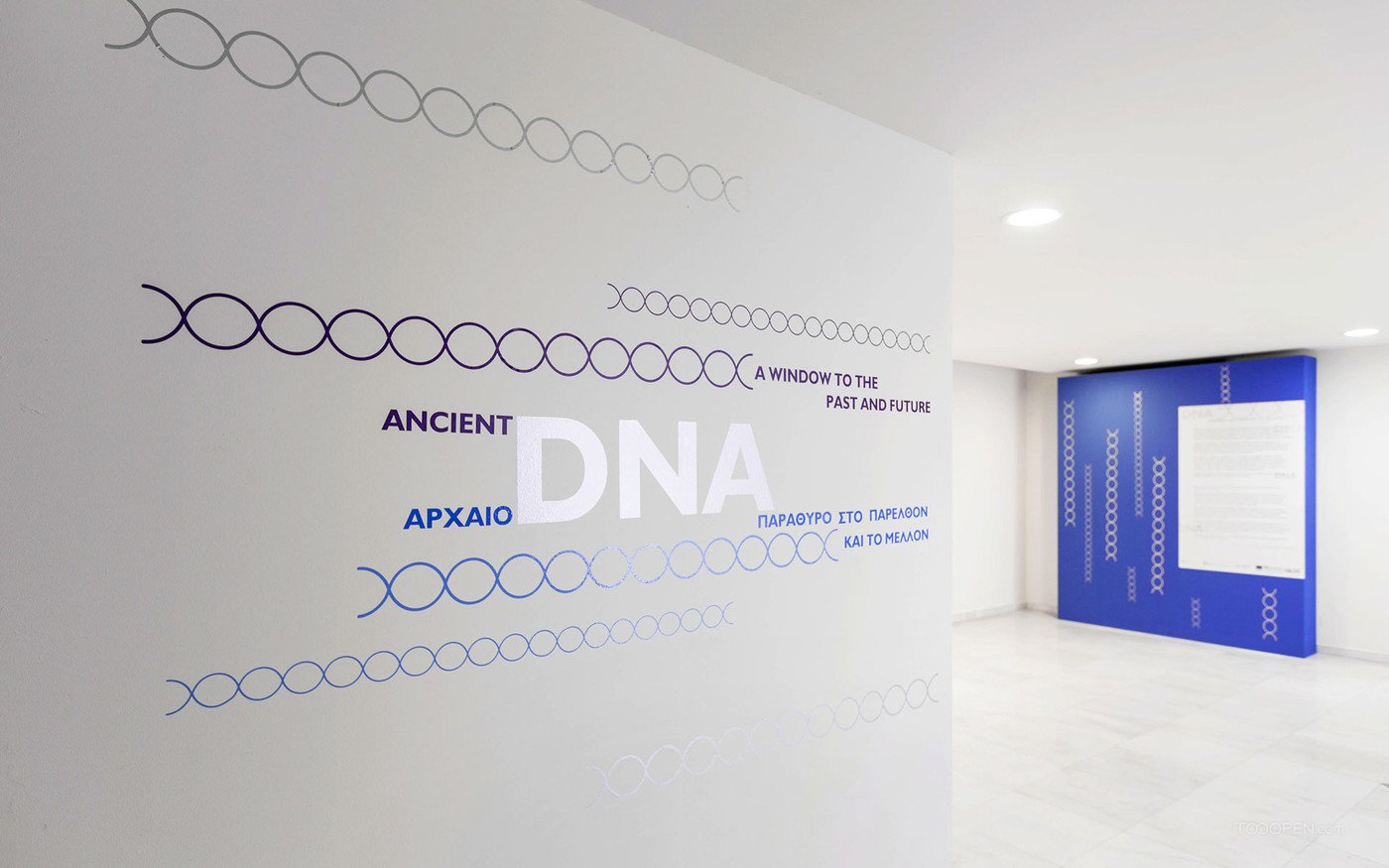 Ancient DNA展厅展示设计图片-01