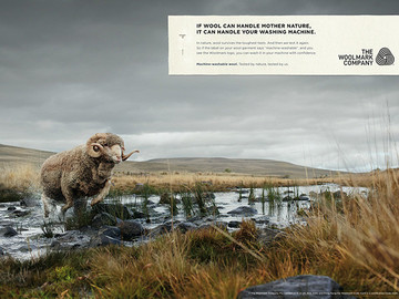 纯羊毛标志品牌官方广告海报设计作品欣赏